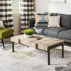 Safavieh Alexander Rectangular Contemporary Rustic Coffee Table Canyon Grey and Black  Feature