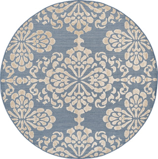 Safavieh Cottage COT908F Light Blue/Beige Area Rug 