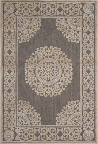 Safavieh Cottage COT924T Taupe Area Rug main image