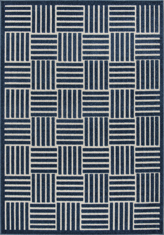 Safavieh Cottage COT942A Blue/Grey Area Rug main image