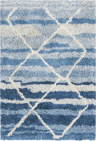 Safavieh Casablanca Shag 250 Blue/Ivory Area Rug main image