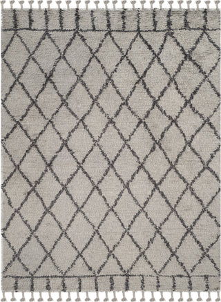 Safavieh Casablanca Shag 725 Grey/Dark Grey Area Rug Main