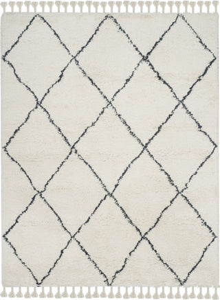 Safavieh Casablanca Shag 726 Ivory/Grey Area Rug Main