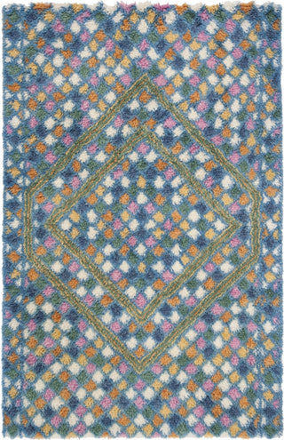 Safavieh Casablanca Shag 750 Ivory/Blue Area Rug main image