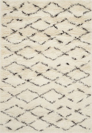 Safavieh Casablanca Shag 847 Ivory/Brown Area Rug main image