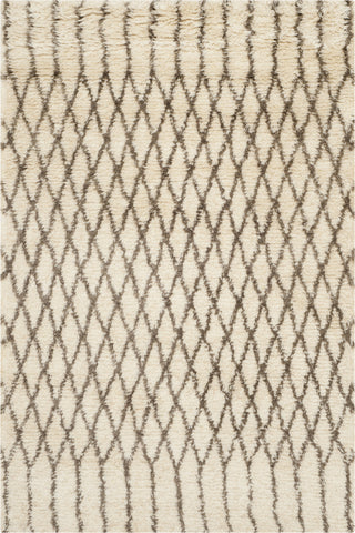 Safavieh Casablanca Shag 860 Ivory/Grey Area Rug main image