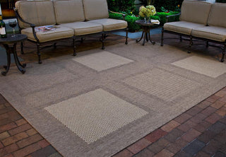 Safavieh Courtyard CY1928 Brown/Natural Area Rug 