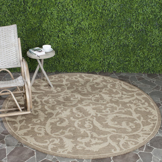 Safavieh Courtyard CY2653 Brown/Natural Area Rug 