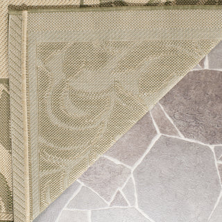 Safavieh Courtyard CY2666 Natural/Olive Area Rug 