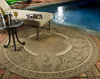 Safavieh Courtyard CY2965 Brown/Natural Area Rug 