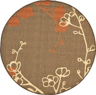 Safavieh Courtyard CY4038C Brown Natural/Terracotta Area Rug 