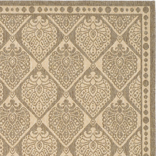 Safavieh Courtyard CY5149B Coffee/Sand Area Rug 