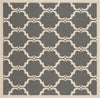 Safavieh Courtyard CY6009 Anthracite/Beige Area Rug 