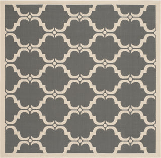 Safavieh Courtyard CY6009 Anthracite/Beige Area Rug 