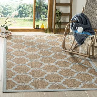 Safavieh Courtyard CY6009 Brown/Aqua Area Rug  Feature