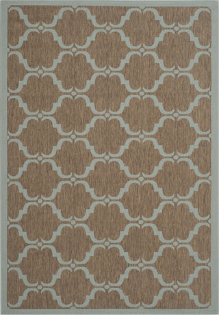 Safavieh Courtyard CY6009 Brown/Aqua Area Rug 