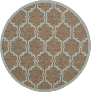 Safavieh Courtyard CY6009 Brown/Aqua Area Rug 