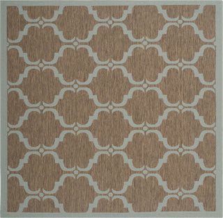 Safavieh Courtyard CY6009 Brown/Aqua Area Rug 