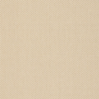 Safavieh Courtyard CY6011 Cream/Light Chocolate Area Rug 