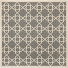 Safavieh Courtyard CY6032 Grey/Beige Area Rug 