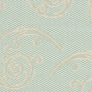 Safavieh Courtyard CY6108 Aqua/Cream Area Rug 