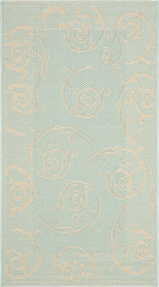 Safavieh Courtyard CY6108 Aqua/Cream Area Rug main image