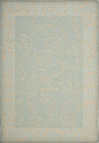 Safavieh Courtyard CY6108 Aqua/Cream Area Rug 