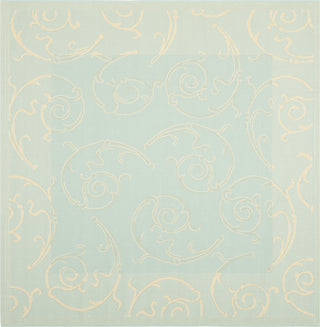 Safavieh Courtyard CY6108 Aqua/Cream Area Rug 