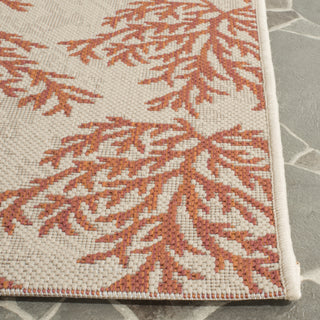 Safavieh Courtyard CY6210 Beige/Terracotta Area Rug 