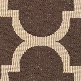 Safavieh Courtyard CY6243 Dark Brown Area Rug 