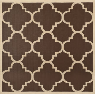 Safavieh Courtyard CY6243 Dark Brown Area Rug 