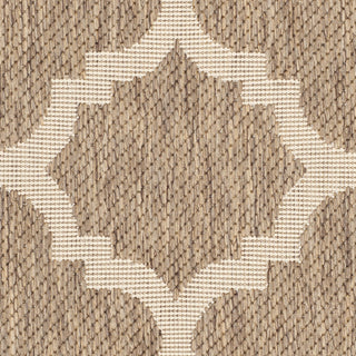 Safavieh Courtyard CY6243 Brown Area Rug 