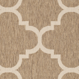 Safavieh Courtyard CY6243 Brown Area Rug 