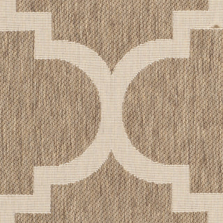 Safavieh Courtyard CY6243 Brown Area Rug 