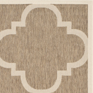 Safavieh Courtyard CY6243 Brown Area Rug 