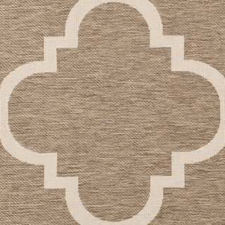 Safavieh Courtyard CY6243 Brown Area Rug 