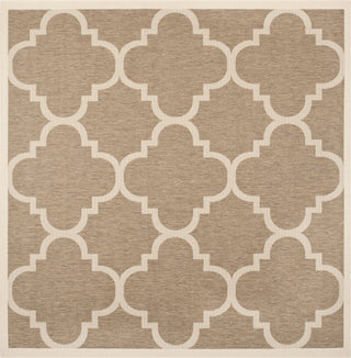 Safavieh Courtyard CY6243 Brown Area Rug 