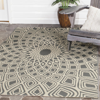 Safavieh Courtyard CY6616 Anthracite/Beige Area Rug 