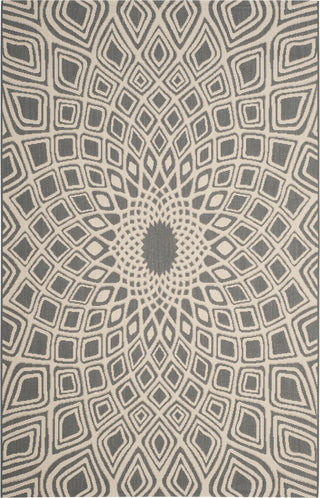 Safavieh Courtyard CY6616 Anthracite/Beige Area Rug 