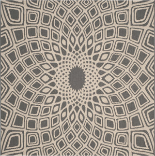 Safavieh Courtyard CY6616 Anthracite/Beige Area Rug 