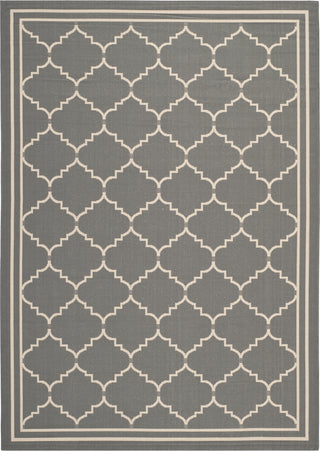 Safavieh Courtyard CY6889 Grey/Beige Area Rug 