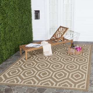 Safavieh Courtyard CY6902 Brown/Bone Area Rug 