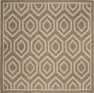 Safavieh Courtyard CY6902 Brown/Bone Area Rug 