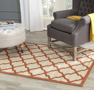 Safavieh Courtyard CY6903 Beige/Terracotta Area Rug  Feature