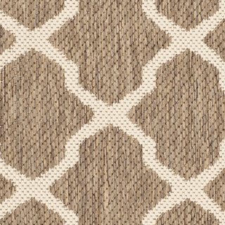 Safavieh Courtyard CY6903 Brown/Bone Area Rug 