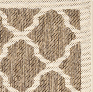 Safavieh Courtyard CY6903 Brown/Bone Area Rug 