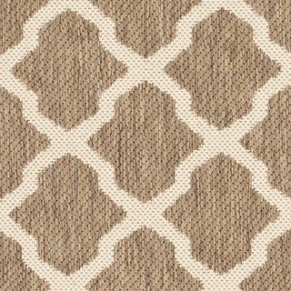 Safavieh Courtyard CY6903 Brown/Bone Area Rug 