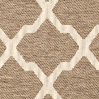 Safavieh Courtyard CY6903 Brown/Bone Area Rug 