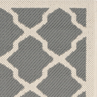 Safavieh Courtyard CY6903 Anthracite/Beige Area Rug 