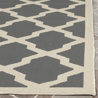 Safavieh Courtyard CY6903 Anthracite/Beige Area Rug 